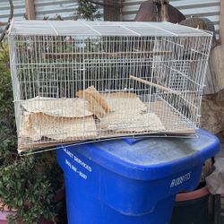 Bird Cage