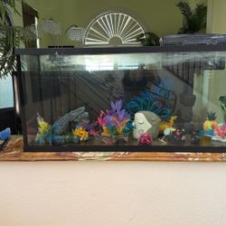 Fish Tank EVERYTHING Included!!!