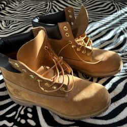 Timberland® Premium 6-Inch Waterproof Boot. New