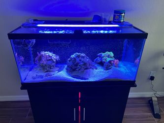 Saltwater Reef Aquarium with Stand and Sump