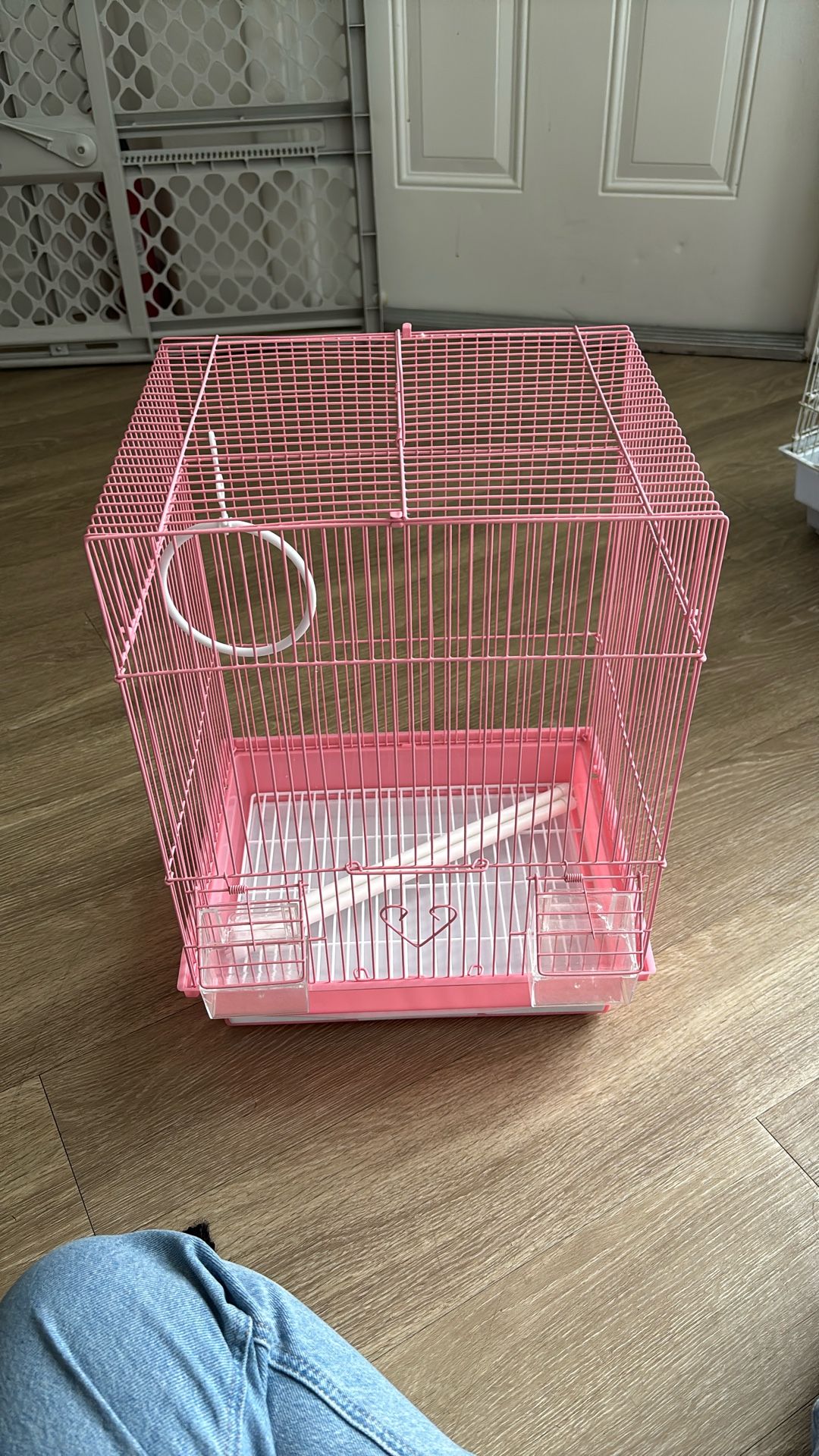 Bird Cage
