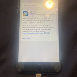 8 Plus 64 GB 