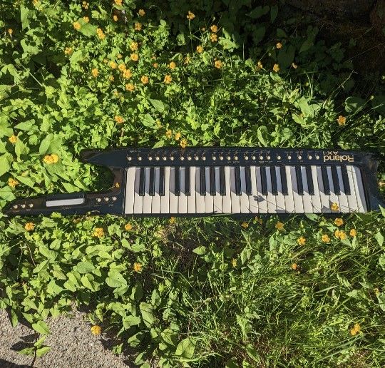 Roland AX-1 Keytar