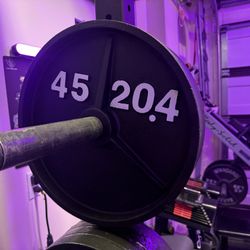 Weight Plates- 45 Pair
