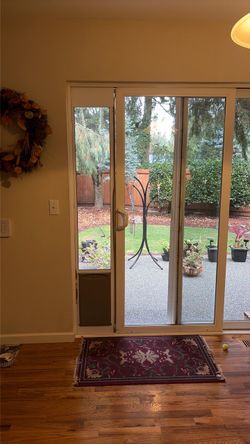 Dog door insert for slider 10” x 17”