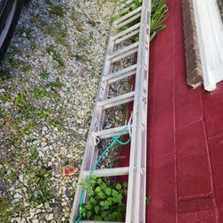 20 Ft Werner EXT Ladder