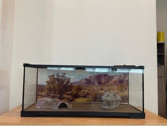 Gecko Tank