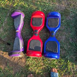 Venta de collares para perros y patinetas