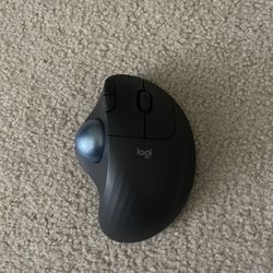 Logitech Ergo Mouse 