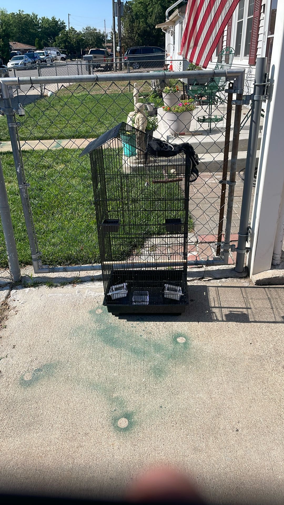Bird Cage