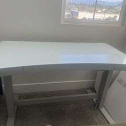 Costco Home Office Standing & Adjustable Desk  