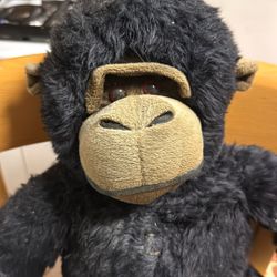 Se Fueron Sin El Shango