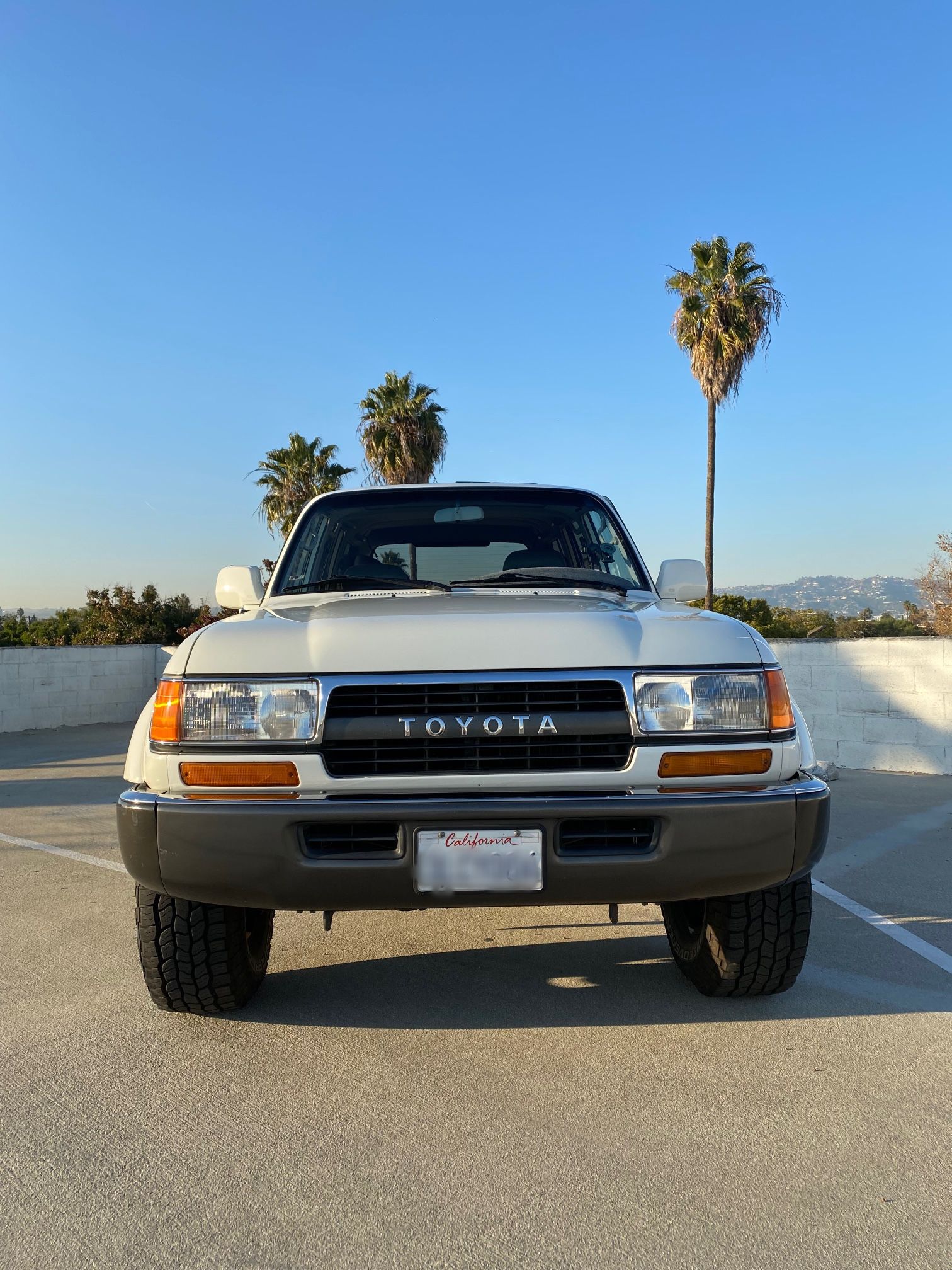 1994 Toyota Land Cruiser