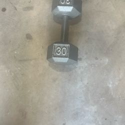 30 Pound Dumbbell 