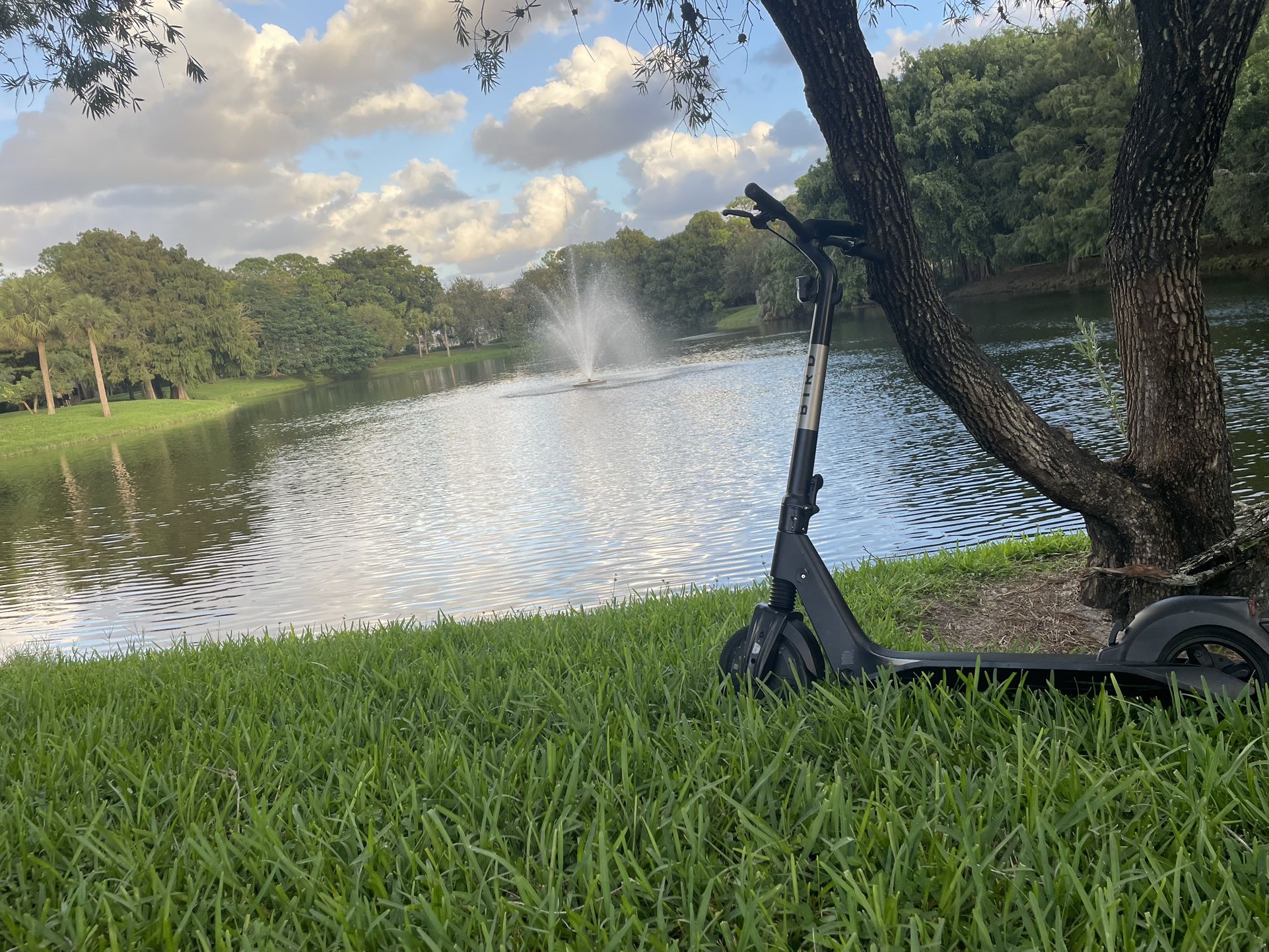 Used Bird Electric Scooter (comes With Charger)