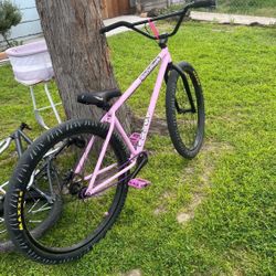 Bamba Bike 29in Pink 