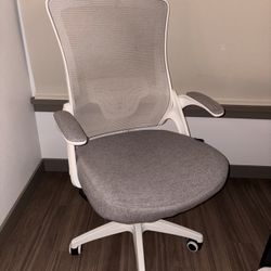Ergonomic Office Chair $45
