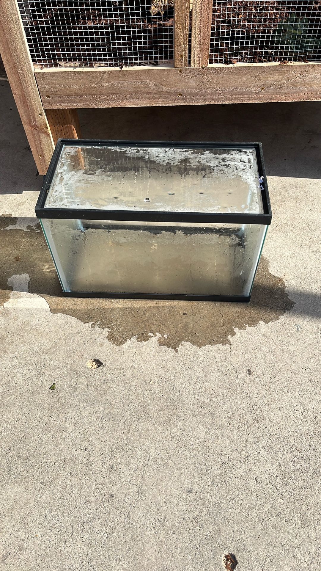 Fish Tank