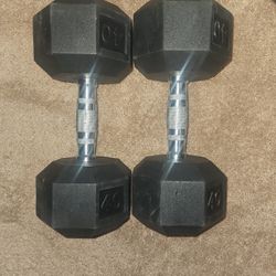 40 Pound Ignite Dumbbell Set 