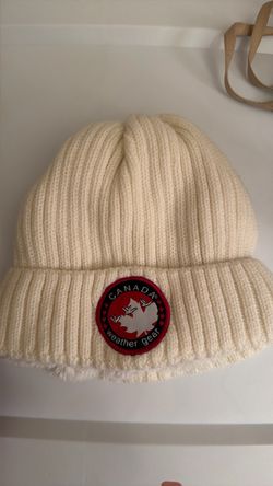 Canada goose