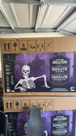 Ground Breaker Skelton New!