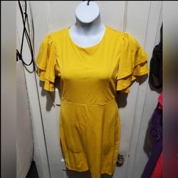 Women Dress Size 2x 