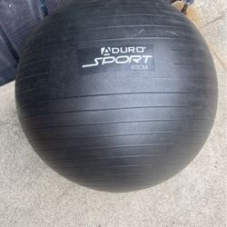Exercise ball