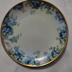 1907 HAND PAINTED PORCELAIN PLATE 8"