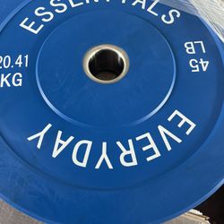 2 x 45 lb Olympic Weight Plate – Standard 2” – Gym Equipment