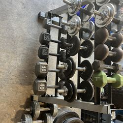 Free Weight Lot, Curling Bar, Dumbells, Bench Bar 