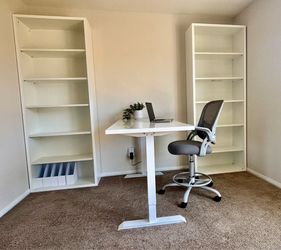 Sit stand desk and bookshelves