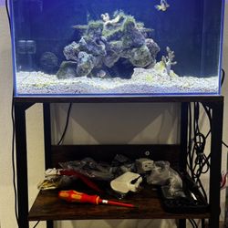 10 Gallon Fish Tank Aquarium 