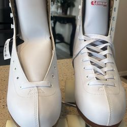 roller skates brand new Chicago 