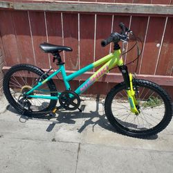Nishiki Mountain Bike - (Kids Bike)