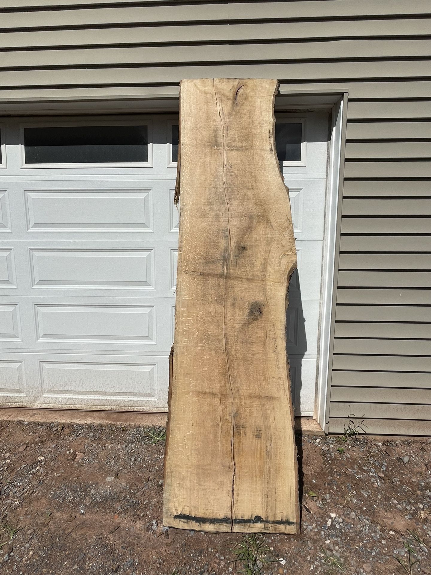 Live edge oak slab Lumber