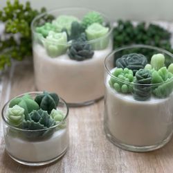 Green Variety Succulent Candle | Glass Tumbler Collection