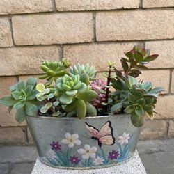 Succulents Arrangement For Mother’s Day 