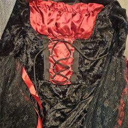 Size Adult Medium Gasparilla Pirate Buccaneer Vampire Gothic Halloween Costume Dress Womens Ladies