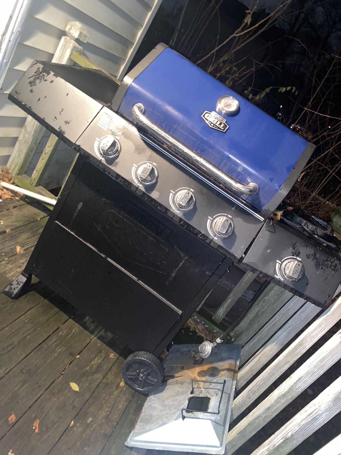 Grill Master Gas Grill