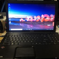 Toshiba Laptop - Satellite C855d