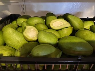 Mango verde $10 por libra