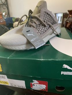 Puma tsugi