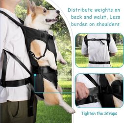 PetBonus Front Dog Carrier.