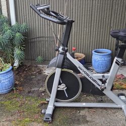 Yosuda Exercise Bike