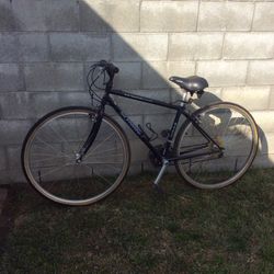 Schwinn Adult Bike