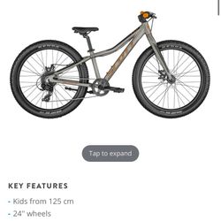 SCOTT ROXTER 24 SILVER 8 GEAR GREAT FOR BOYS