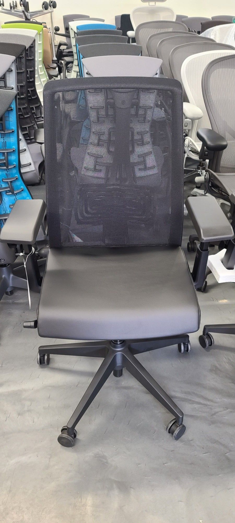 🔥BRAND NEW!🔥 HAWORTH ZODY - VERY - SOJI - FERN