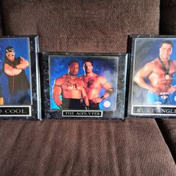 WWF Superstars Plaques