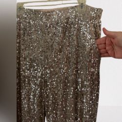 NWT Sequin Pants 