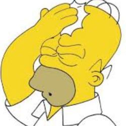 Homer Simpson The Simpsons ID Badge Holder With Key Ring 